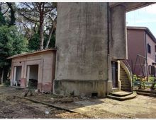 58055-photo-img-20210616-100259-jpgjpg