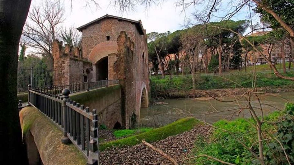 51973-photo-31080379-jpgjpg