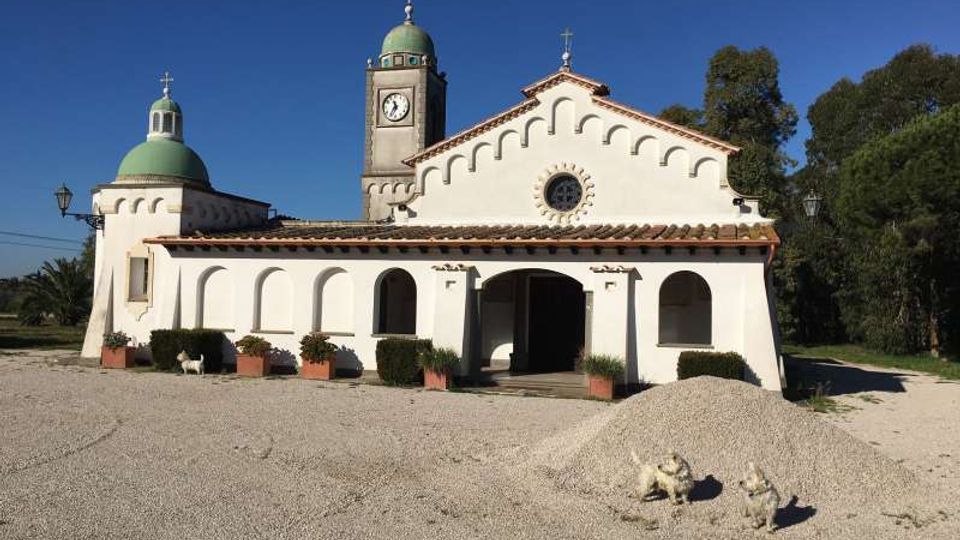 Chiesa bianca a un piano con portico ad archi, rosone centrale e facciata con profilo ondulato, affiancata da una torre campanaria con orologio e cupola verde. Davanti si estende un ampio piazzale in ghiaia con vasi di piante, sullo sfondo alberi e cielo sereno.