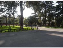 Viale asfaltato in un parco alberato, con grandi pini e altre conifere e prato verde ai lati. Il percorso curva in lontananza ed è delimitato da staccionate basse in legno lungo i bordi.