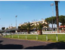 Veduta di un ippodromo con pista asfaltata in primo piano e recinzioni bianche che delimitano il prato. Sullo sfondo si vede una tribuna bassa con passerelle metalliche, bandiere sul tetto, alte torri faro e palme e pini intorno.