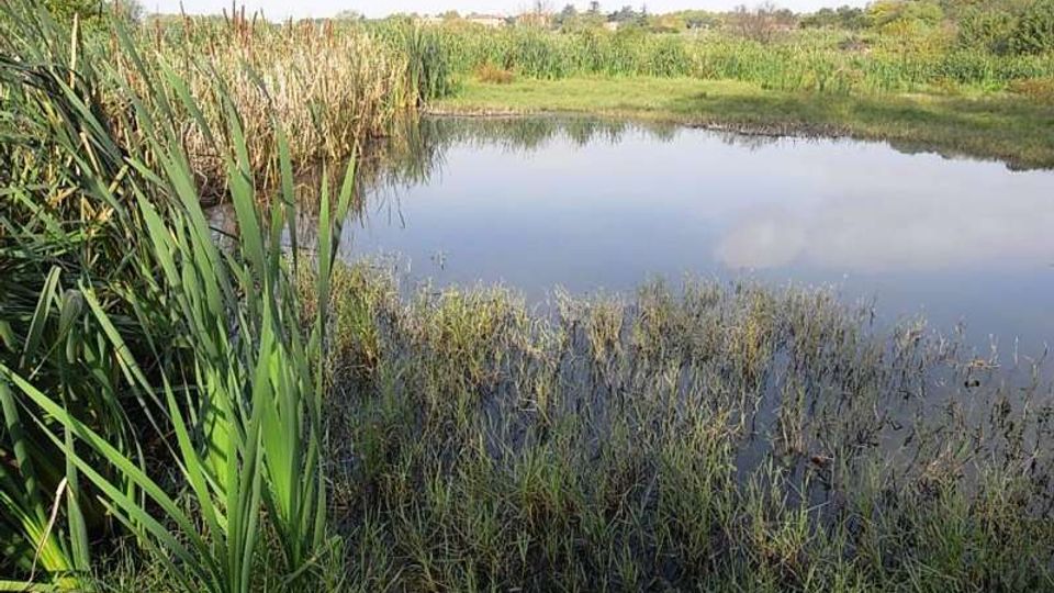 561-eac402a0bacde1ca596791a7e3d8f4d1jpg