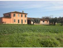 Casa colonica di campagna a due piani con facciata color pesca e persiane verdi, affiancata da un edificio rustico più basso. Davanti si estende un ampio campo erboso coltivato con alcuni ulivi, sotto un cielo sereno.
