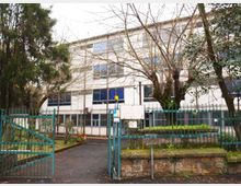 Edificio scolastico a più piani con facciata chiara e ampie finestre, visto oltre una recinzione metallica verde con cancello d’ingresso. Davanti si trovano un vialetto asfaltato, aiuole rialzate in muratura e alberi che incorniciano l’area esterna.