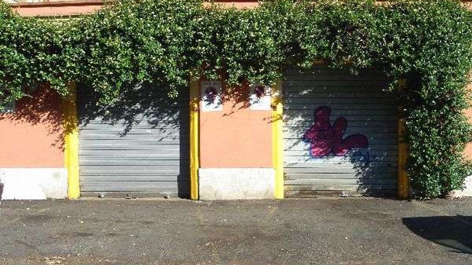 Cortile o area di parcheggio con due serrande grigie di garage in un muro color salmone, separate da pilastri gialli. Una fitta vegetazione rampicante copre la parte superiore del muro e una serranda presenta un graffito.