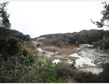 612-fe574edec79677de1fea747286d4600ajpg