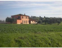 Casa colonica a due piani color arancio con tetto in tegole e annesso basso, situata in campagna. In primo piano un campo verde e sullo sfondo un oliveto con alberi sparsi sotto un cielo sereno.