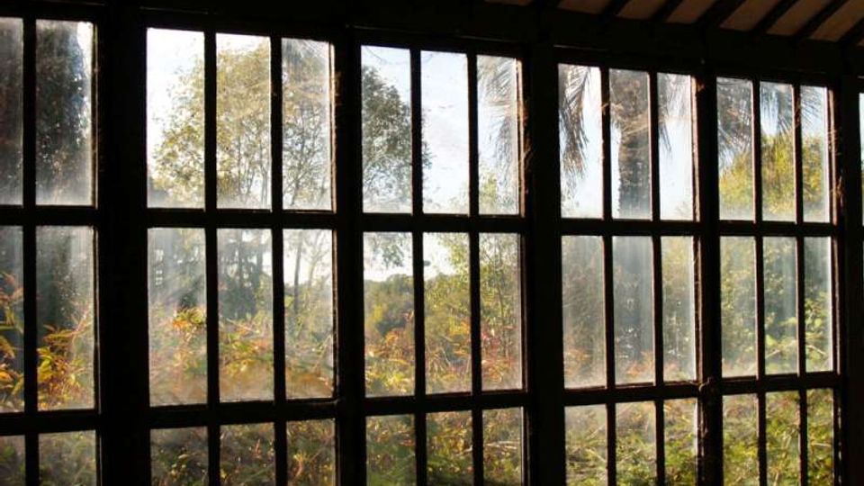 Interno con ampia parete di finestre a riquadri in legno scuro e vetri alti, sotto un soffitto con travi. Attraverso i vetri si vede un giardino con vegetazione e alberi illuminati dalla luce del sole.