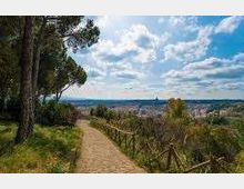 52111-photo-images-jpgjpg