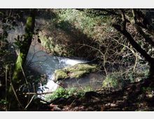 52533-photo-monumento-nturale-parco-della-forre-5-jpgjpg