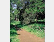 52035-photo-278-pargoaguzzano3-jpgjpg