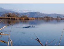 51995-photo-3529419master-jpgjpg