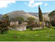 987-c65aed640f9847d313f042e1ce0adf53jpg