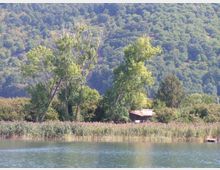 209-8f37a10ac470850da4a99ef9085bd3bejpg