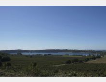 51772-photo-dsc00009-version-2-jpgjpg