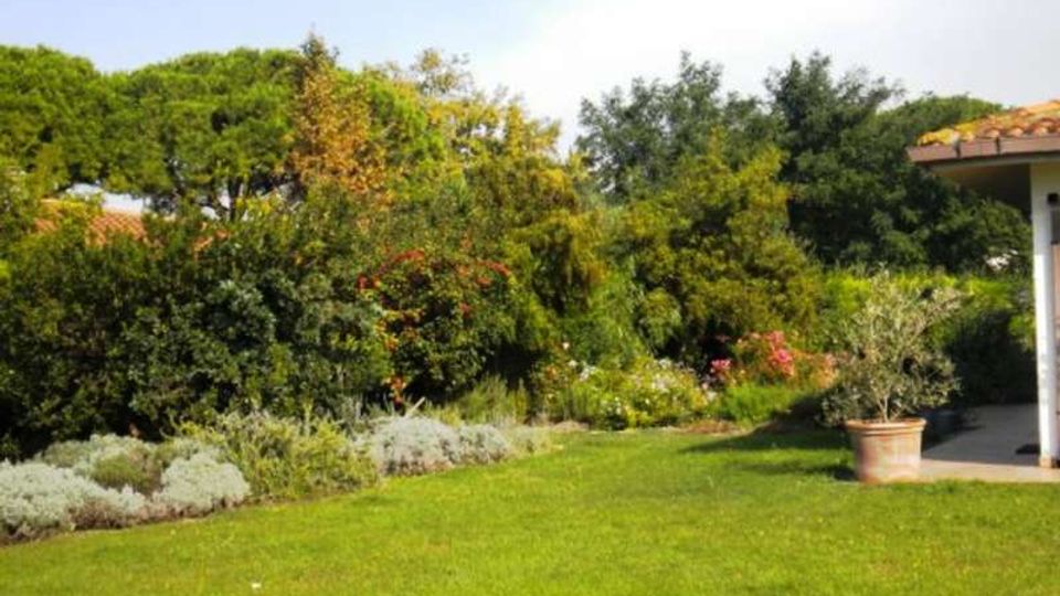 588-ad5036d85987ae16e01ab922eef4c382jpg