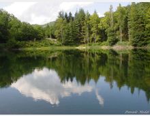 51902-photo-laghetti-percile-jpgjpg