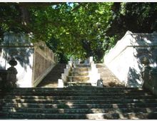 Scalinata in pietra all’aperto con rampe laterali simmetriche e un elemento centrale a gradini ondulati, fiancheggiata da parapetti in muratura con dettagli decorativi. L’area è circondata da alberi alti che creano ombra e luce filtrata sul percorso.