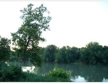 1102-aed9a9514f569931e2d0dace61642276jpg