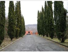 Viale asfaltato in leggera discesa fiancheggiato da alti cipressi su entrambi i lati. In fondo si vede un edificio basso in mattoni e, oltre, colline sullo sfondo sotto un cielo nuvoloso.
