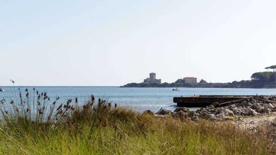 Vista costiera con erba alta in primo piano, una spiaggia di ciottoli e una piccola banchina in cemento sul mare calmo. All’orizzonte si vede un promontorio con edifici, tra cui una torre, e alberi sulla destra.