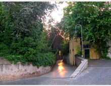 Stretta stradina asfaltata tra muri bassi e fitta vegetazione, che scende verso un passaggio alberato illuminato dalla luce del tramonto. A destra si vede un edificio giallo con ringhiera e un lampione ad arco lungo il bordo della strada.