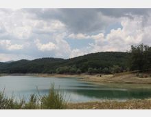 49512-photo-2-jpgjpg