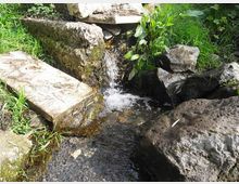 560-abec207b4d229a9799c9cf224372597djpg