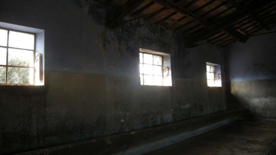 Interno di un edificio rurale o magazzino con pareti scrostate e macchiate di umidità, tre piccole finestre rettangolari con inferriate e luce naturale che entra. Soffitto alto con travi in legno a vista e pavimento in cemento con una canaletta lungo il muro.