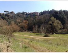 52048-photo-insugherata1-jpg-2009228144714-insugherata1-jpgjpg