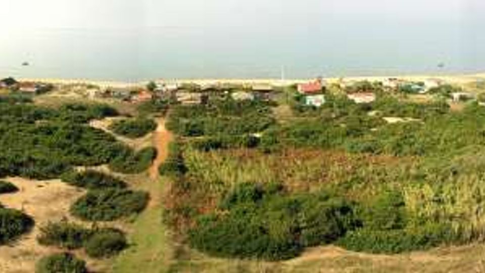 Veduta panoramica di una zona costiera con vegetazione bassa e cespugli, sentieri sabbiosi e campi verdi, con alcune case sparse sullo sfondo. In lontananza si vede il mare e, sul bordo destro, una struttura in muratura in primo piano.