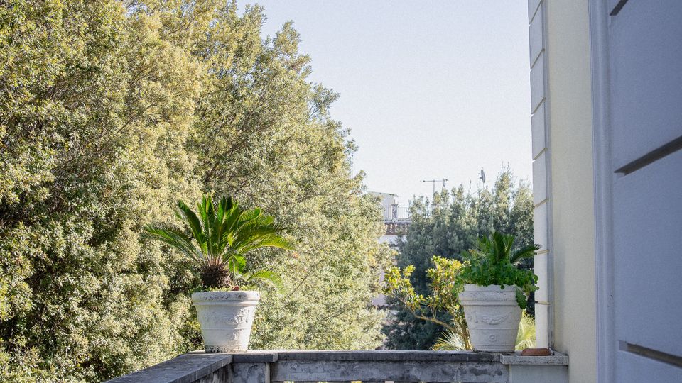 Terrazza esterna di un edificio classico con pavimento piastrellato e balaustra in pietra, affacciata su alberi alti. Vasi con piante ornamentali sono disposti lungo il parapetto e vicino alla parete con cornici decorative.