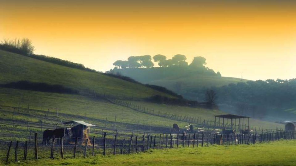 Paesaggio rurale collinare con ampi prati verdi recintati e un’area agricola con piccole strutture e tettoie sul fondovalle. Sullo sfondo, una collina con alberi in controluce sotto un cielo sfumato al tramonto o all’alba.