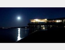 1232-69040bc972697e390b57dcf7bd3919b7jpg