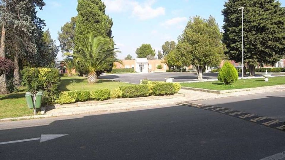 Strada asfaltata con aiuole curate e siepi basse, circondata da alberi alti e palme in un’area verde. Sullo sfondo si vedono edifici bassi e un’area di parcheggio con lampione e piccole fontane ornamentali.