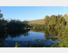 51839-photo-12674407-920368888070959-503548794-n-0-jpgjpg