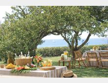 Giardino all’aperto con tavoli apparecchiati e sedie in vimini sotto grandi alberi, con buffet di frutta e bevande su tavoli a righe. Sullo sfondo si vede il mare oltre una siepe, con una vela in lontananza.
