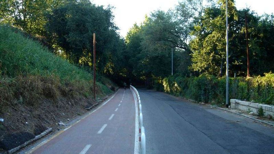 Strada asfaltata in lieve curva affiancata da una pista ciclabile rossa, separate da una barriera bassa con paletti bianchi e rossi. Lungo il percorso ci sono lampioni e fitta vegetazione con alberi e cespugli su entrambi i lati.