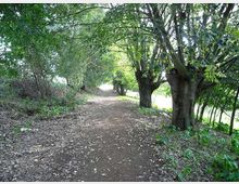 560-7ed0f9605533c3519d4dfa5a870d7243jpg