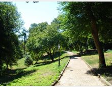 Sentiero pedonale in ghiaia che si snoda in un parco alberato, con prato ai lati e alberi ad alto fusto che creano zone d’ombra. Lungo il percorso è presente un lampione e il terreno circostante è leggermente in pendenza.