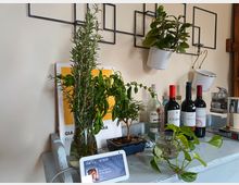 Angolo di cucina su un piano d’appoggio azzurro con piante e erbe aromatiche in vasi, bottiglie di vino e una macchina da caffè; sulla parete chiara ci sono mensole geometriche in metallo con piccoli contenitori appesi.