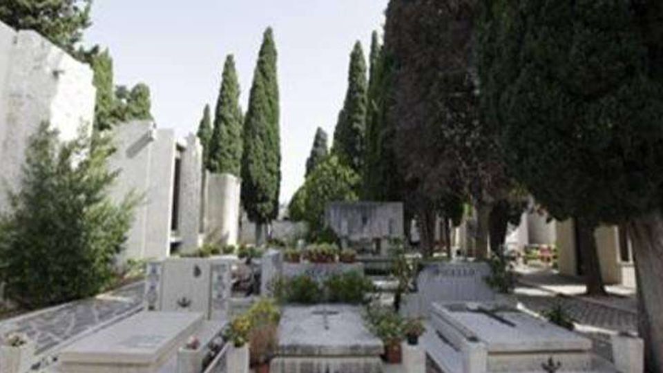 Viale di un cimitero con tombe e loculi in pietra disposti ai lati, tra aiuole e piccoli vasi. Al centro si vede un percorso con alti cipressi e altri alberi che incorniciano la prospettiva.