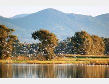 52081-photo-macchiatonda-sfondo-jpgjpg