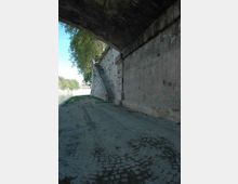 1101-7ce11ba43d9b1972b50ef1ec5ead05c2jpg