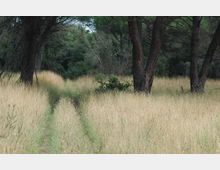 51932-photo-9-jpg-20161120153028-9-jpgjpg