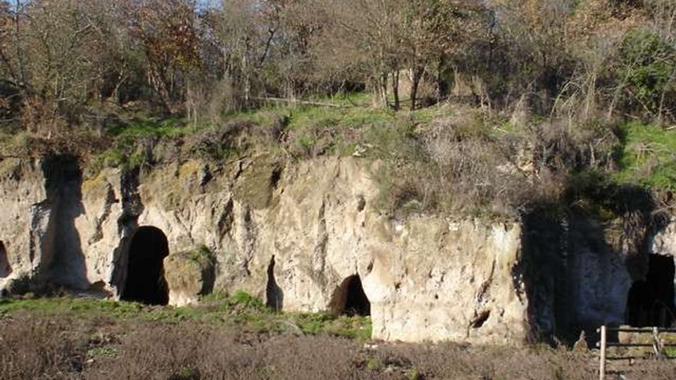 Parete rocciosa chiara con diverse aperture ad arco simili a grotte scavate, alla base di una scarpata. Sopra la roccia si vede una fascia erbosa e un bosco di alberi spogli, con vegetazione bassa in primo piano.