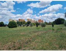 Ampio prato urbano con erba rada e piccoli alberi e cespugli sparsi, con alcune baracche basse sullo sfondo. All’orizzonte si vedono palazzi residenziali a più piani e un traliccio per telecomunicazioni sotto un cielo azzurro con nuvole.