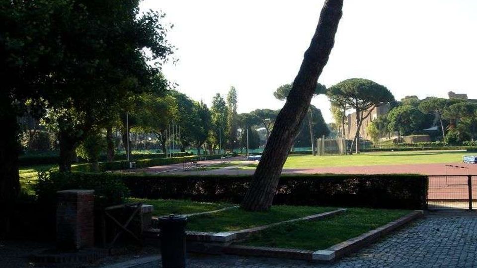 Parco con viale lastricato in pietra e aiuole, affiancato da alberi alti, tra cui un tronco inclinato in primo piano. Sullo sfondo si vede un’ampia area sportiva con pista o campo delimitato e lampioni, circondata da vegetazione.
