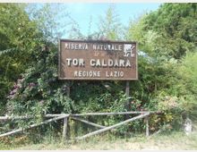 52149-photo-riserva-naturale-di-tor-1-jpgjpg