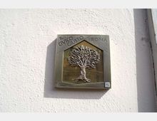 58270-photo-sam3557-jpgjpg